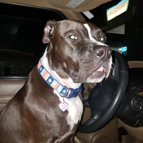 Meet your Posher, Stacie - Picture 2 of 2